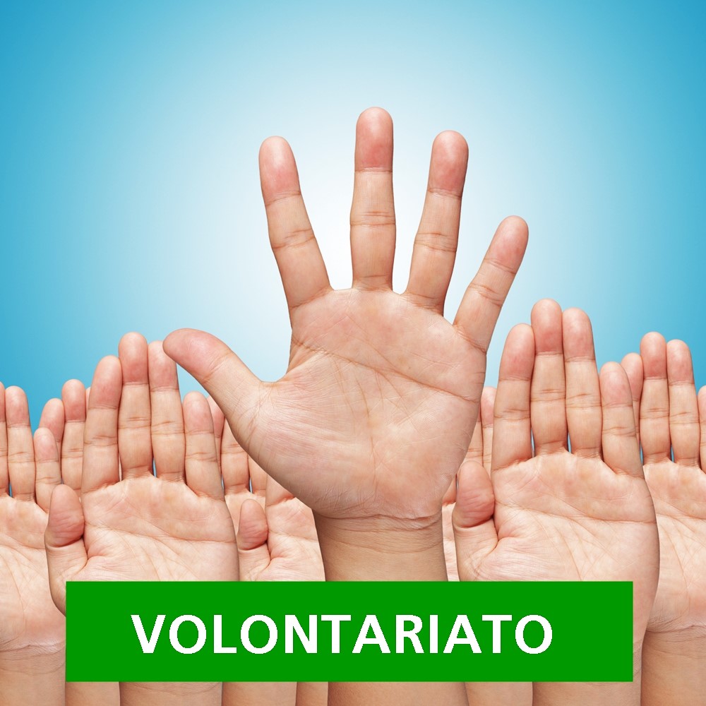 VOLONTARIOSCRITTA